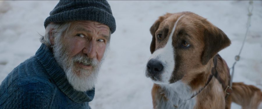 悶絶必至の「おじさんと犬」映画4選！ アドベンチャーからコメディまで！ P・ウォーカー、W・デフォー