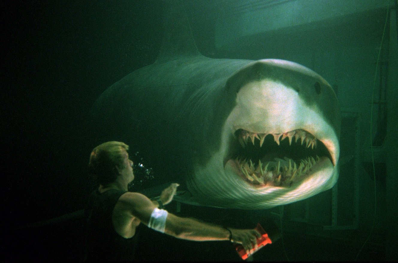デカい 頭がいい 空を飛ぶ サメ映画7作放送 サメフェス2020 でこの夏もサメ三昧 映画 Banger