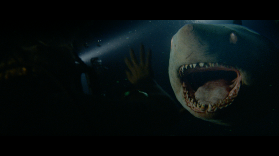 サメ映画ずらりそろい踏み！ 『海底47M』最新作から『シャークネード』『ディープ・ブルー』まで一挙紹介!!