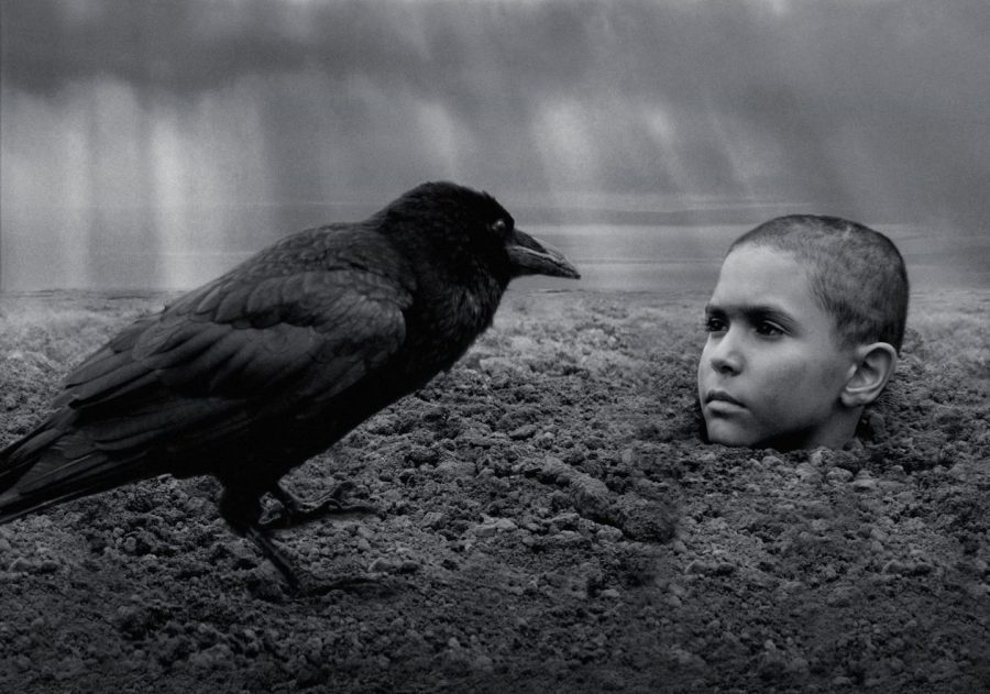 ナチスから逃れた少年は“異物”として迫害され……衝撃作『異端の鳥』がモノクロームで描く「凡庸な悪」