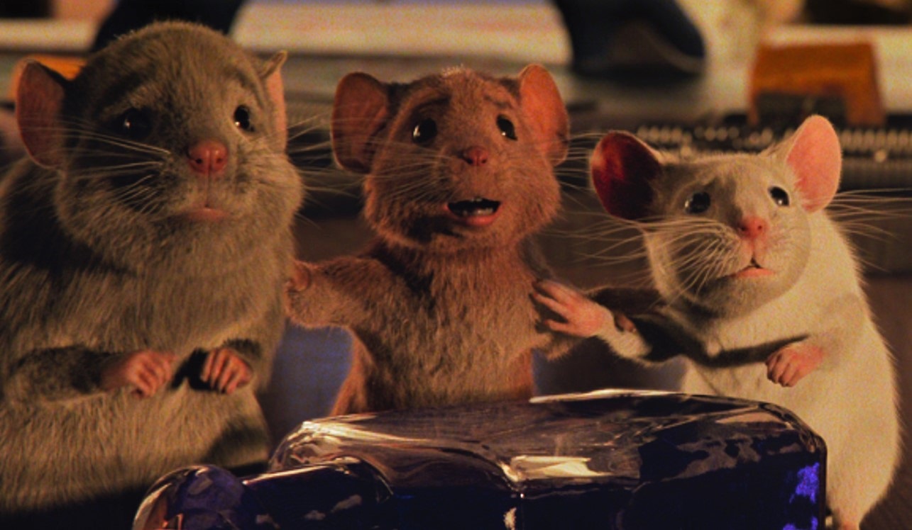 チャリチョコ 原作者 ゼメキス デル トロ A ハサウェイ主演 魔女がいっぱい はダークなクリスマス ファンタジー 映画 Banger