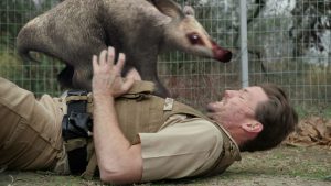 恐怖のゾンビ動物園、まさかの復活！『ZOOMBIE ズーンビ ネクスト・レベル』は怖くて笑える感染アニマルパニックの続編