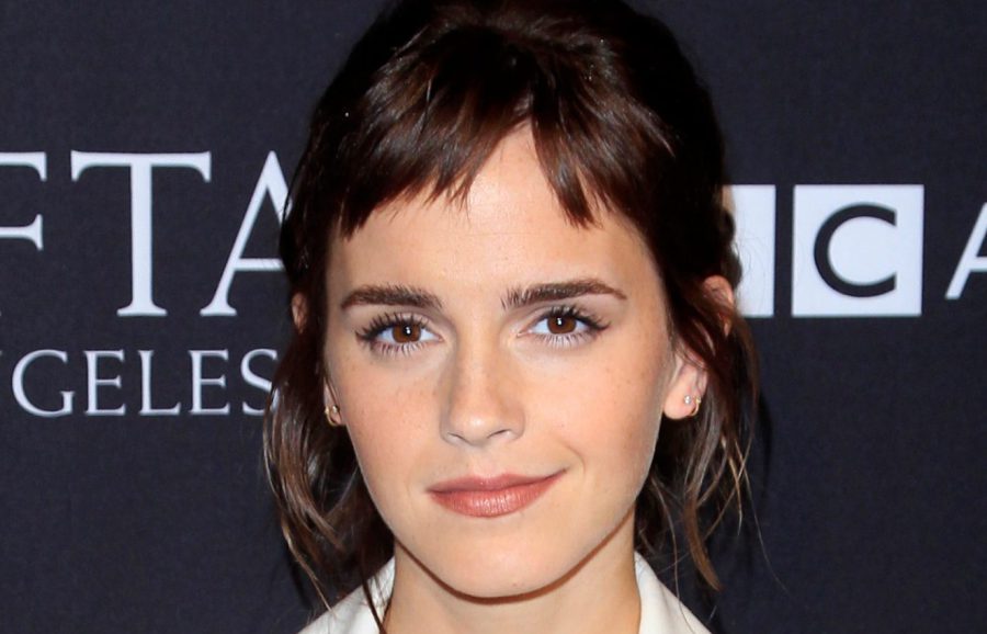 『ハリポタ』エマ・ワトソン、シリーズ1番のお気に入りシーンは？ 原作者J・Kローリングも太鼓判を押す脚本家発案・“映画オリジナル”のシーン！