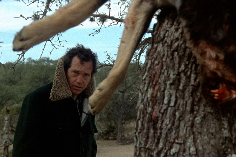 サタニック・カルト集団、カーアクション、ロードムービー 史上最高の面白さを誇る“奇跡のB級映画”『悪魔の追跡』