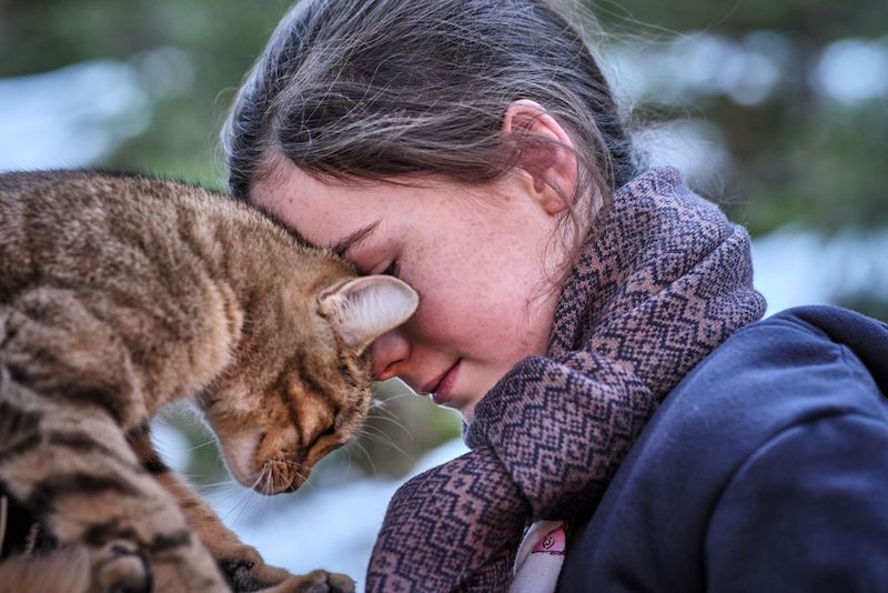 「無理はさせない」“猫たちの演技”を動物トレーナーが語る『ルー、パリで生まれた猫』特別映像