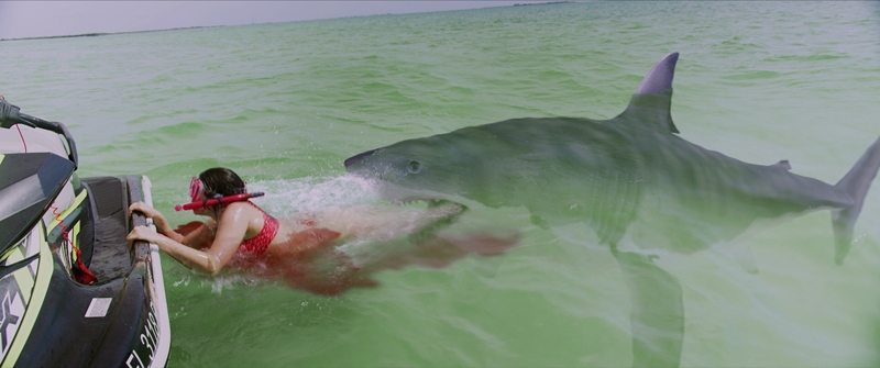 「サメ映画」に喝!? インフレ状態のサメ界隈に颯爽と現れた『シャーク・クルーズ』の渾身の“普通”という新機軸