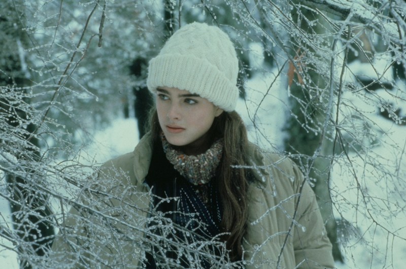 15歳の美少女に世界が恋したラブロマンス映画『エンドレス・ラブ』はトム・クルーズの映画デビュー作！ しかもアカデミー賞＆ラジー賞に同時ノミネート