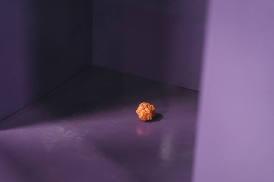 【Netflix全世界ランキング】肉体の限界に挑む！韓国バラエティ『フィジカル100』のシーズン2が初登場1位に！爆笑コメディドラマ『タッカンジョン』にも注目：非英語作品-TV番組【おすすめ】