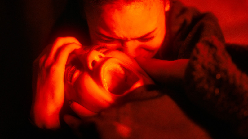 【閲覧注意】本物のクモ200匹とVFXを融合させ、クモの動きをリアルに再現 “脅威の体感型ホラー”『スパイダー／増殖』本編映像