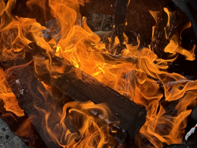 【Netflix全世界ランキング】NFL試合中継がワンツーフィニッシュ！「暖炉の火」を映し続ける恒例番組も例年通り：TV番組 ネットフリックスおすすめ