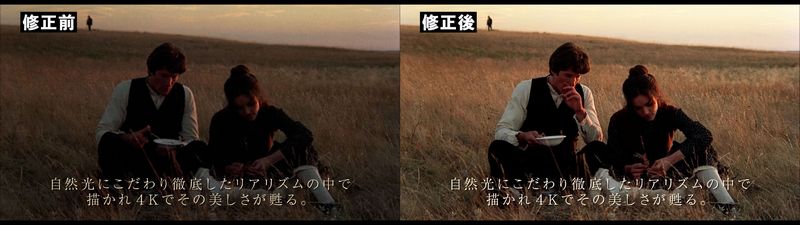 「より鮮やかに詩的に表現」一目でわかるその違い 修復前・後の比較映像とアザービジュアル解禁『天国の日々 4K』