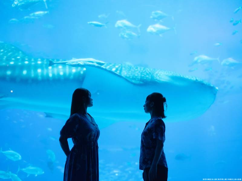 永瀬アンナ(天内理子役)、清水理沙（黒井美里役）が沖縄を満喫『劇場版総集編 呪術廻戦 懐玉・玉折』