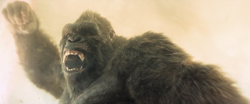 舞台は日本から、髑髏島へ！『モナーク：レガシー・オブ・モンスターズ』待望の新シーズン2026年2月配信決定