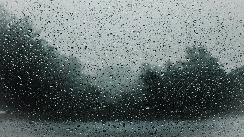 雨音がBGM。雨の日にしっとり浸る「極上のラブストーリー」5選
