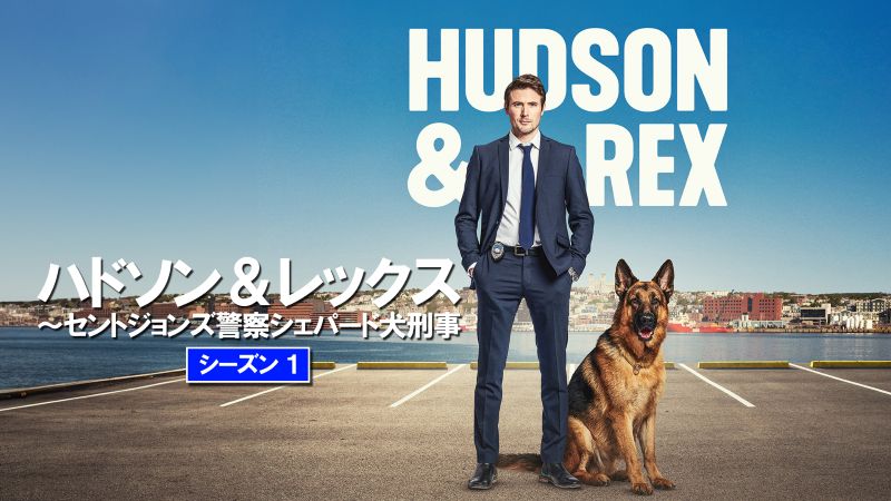放送中に重病が発覚し…悲劇の警察犬ドラマ『ハドソン＆レックス』が人気急上昇【DMM TV 最新ランキング／海外ドラマ おすすめ】