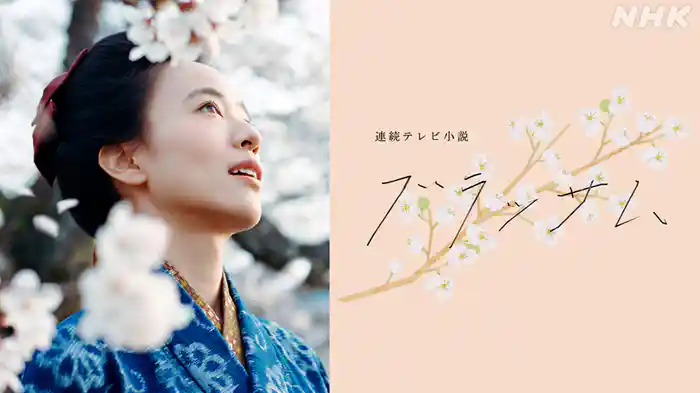 『ブラッサム』初回15.5％で首位！ドラマ視聴率ランキングTOP10と見逃し配信先 U-NEXTで観られる作品は？2026年秋【10月8日掲載】